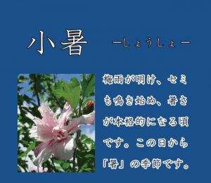 二十四節気 二十四節気