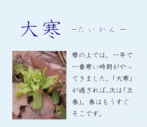 二十四節気 二十四節気