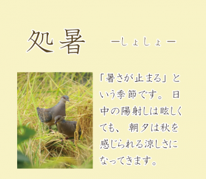 二十四節気 二十四節気