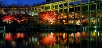 紅葉ライトアップ けいはんな記念公園