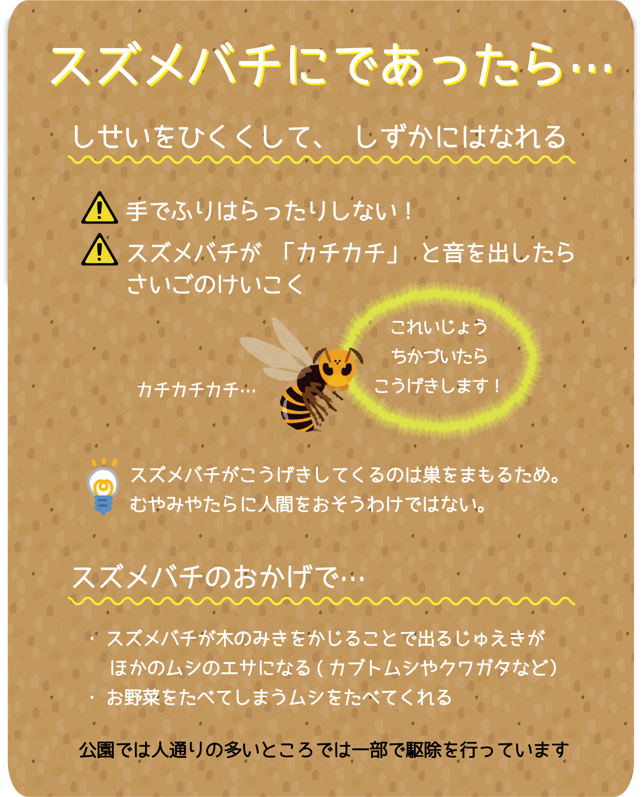 はっけん!こうえんのいきもの【番外編】 けいはんな記念公園