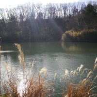 俳句でたどる公園の冬景色