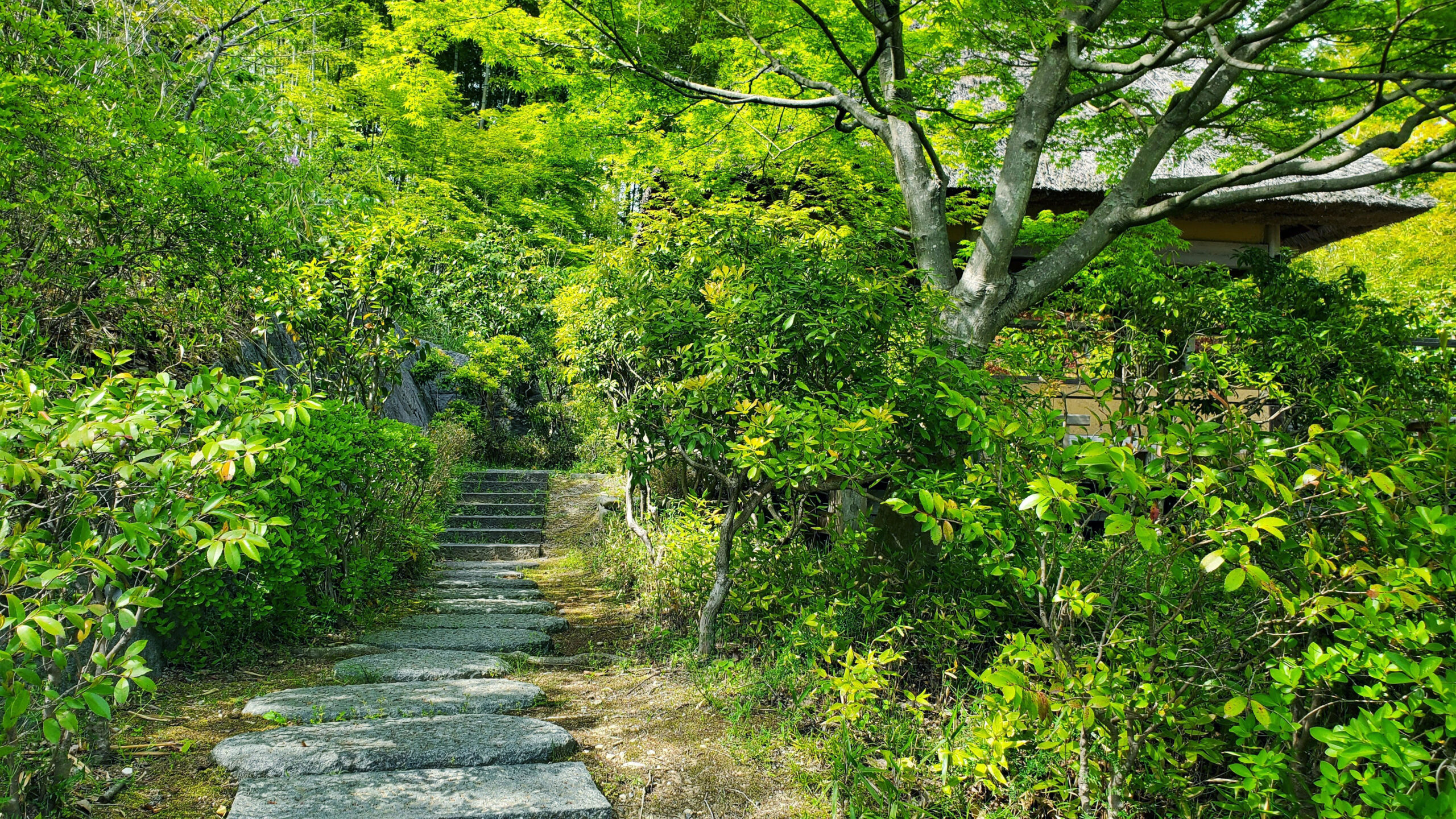 景色を表す、四季を楽しむ