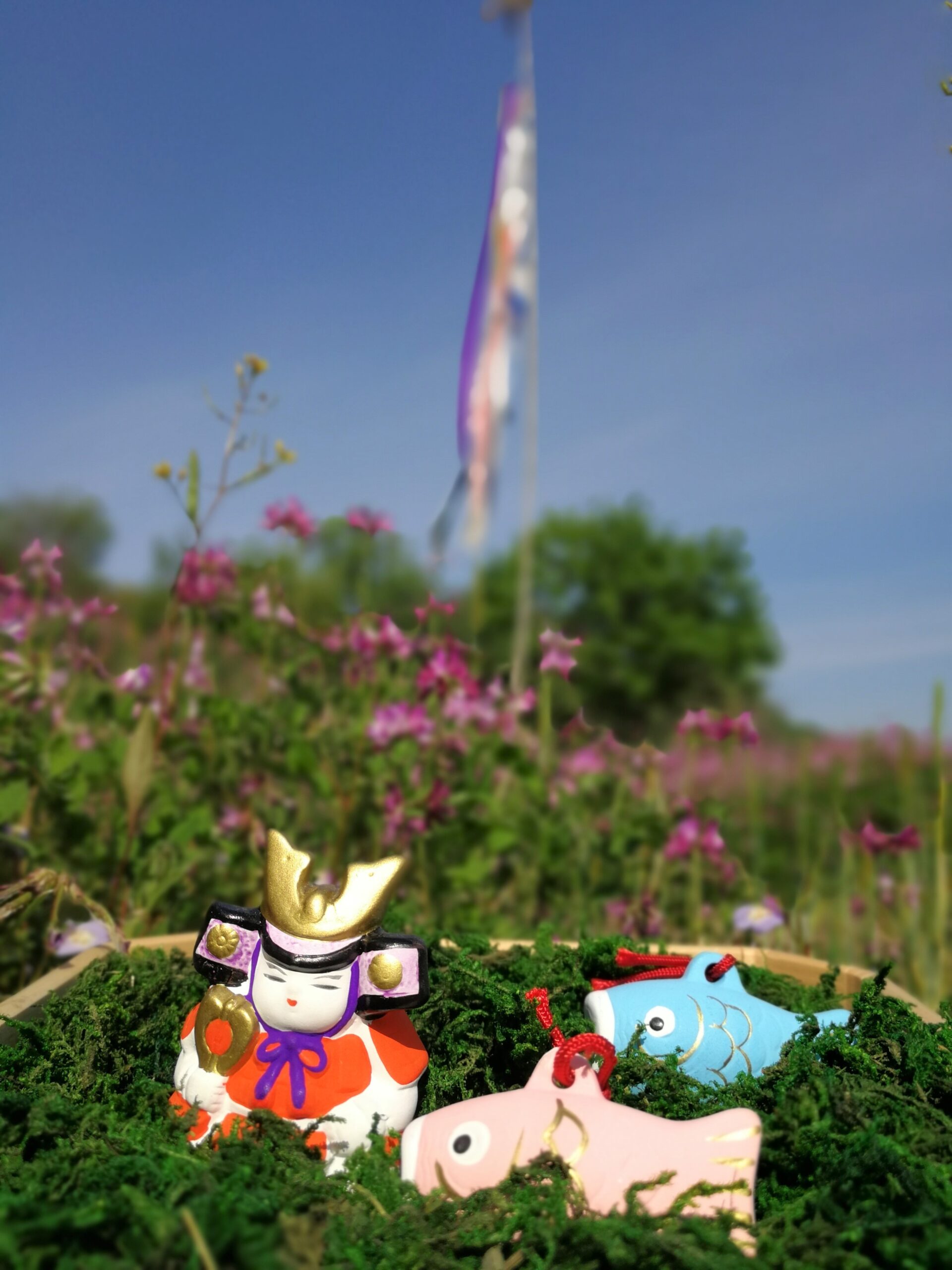 「鯉のぼり」