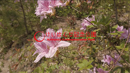 【動画】水景園レポート④　5月　～春の芽ぶきの森おさんぽ編～