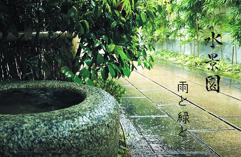 【動画】水景園　雨と緑と