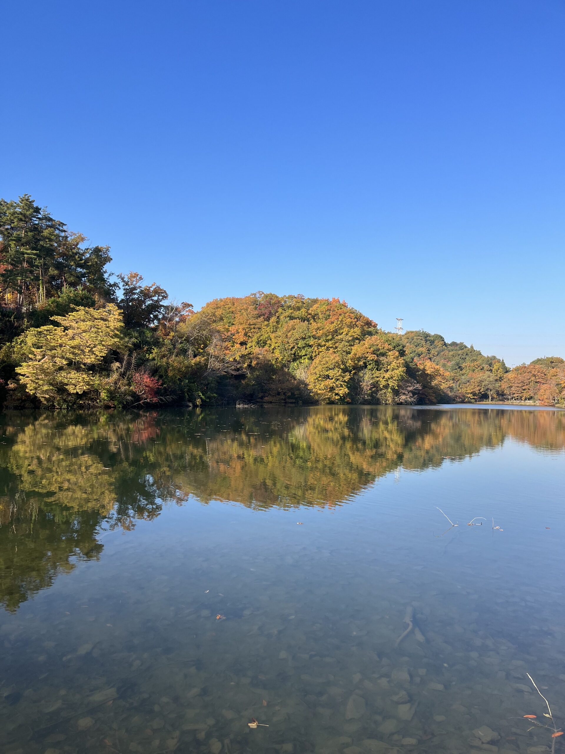水景園の見どころ　二十四節気・大雪