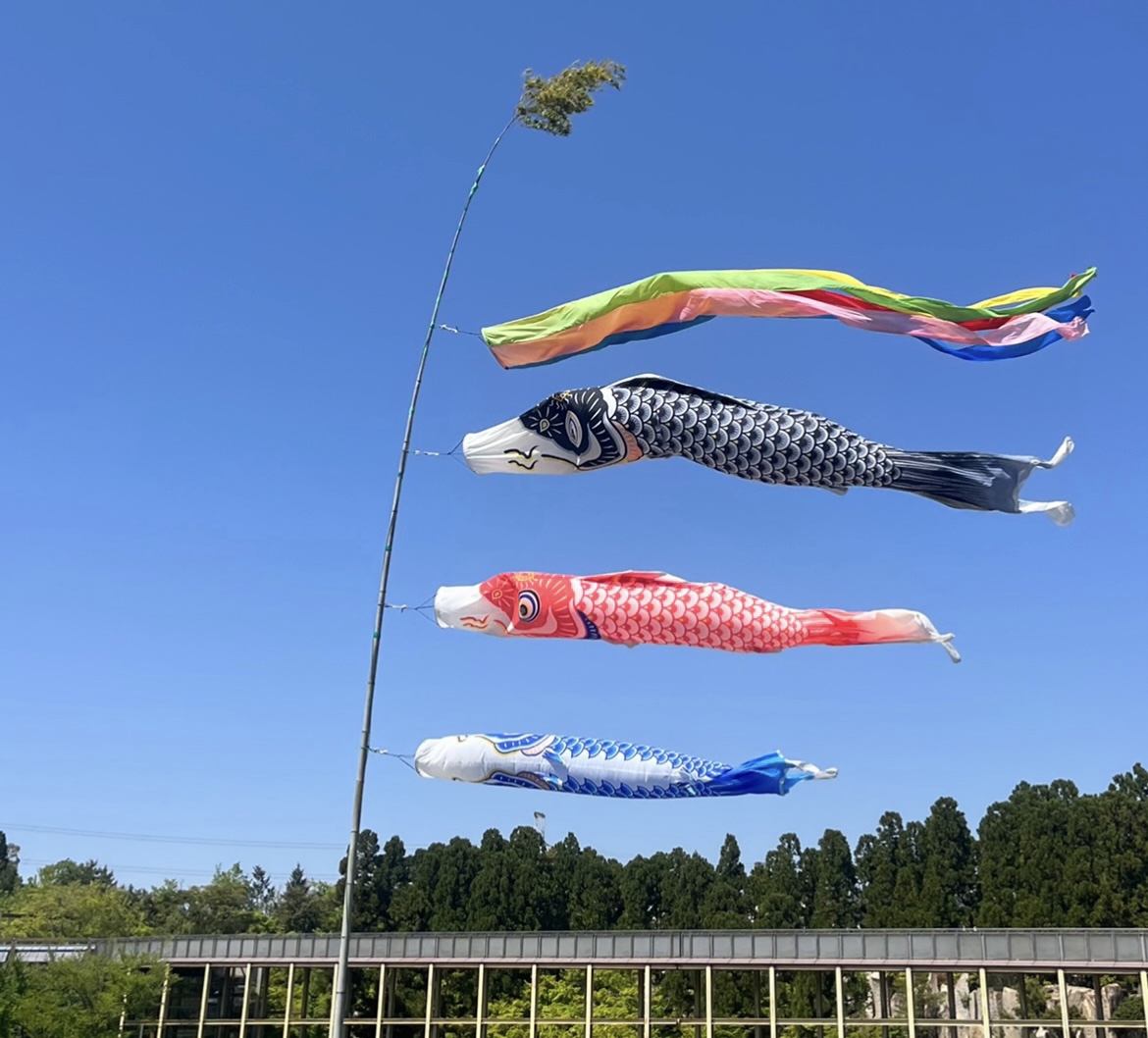 けいはんな記念公園の端午の節句－鯉のぼり－