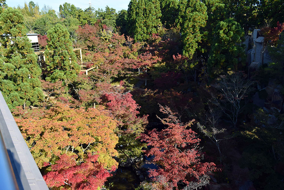 水景園の見どころ【2021.10.30霜降】
