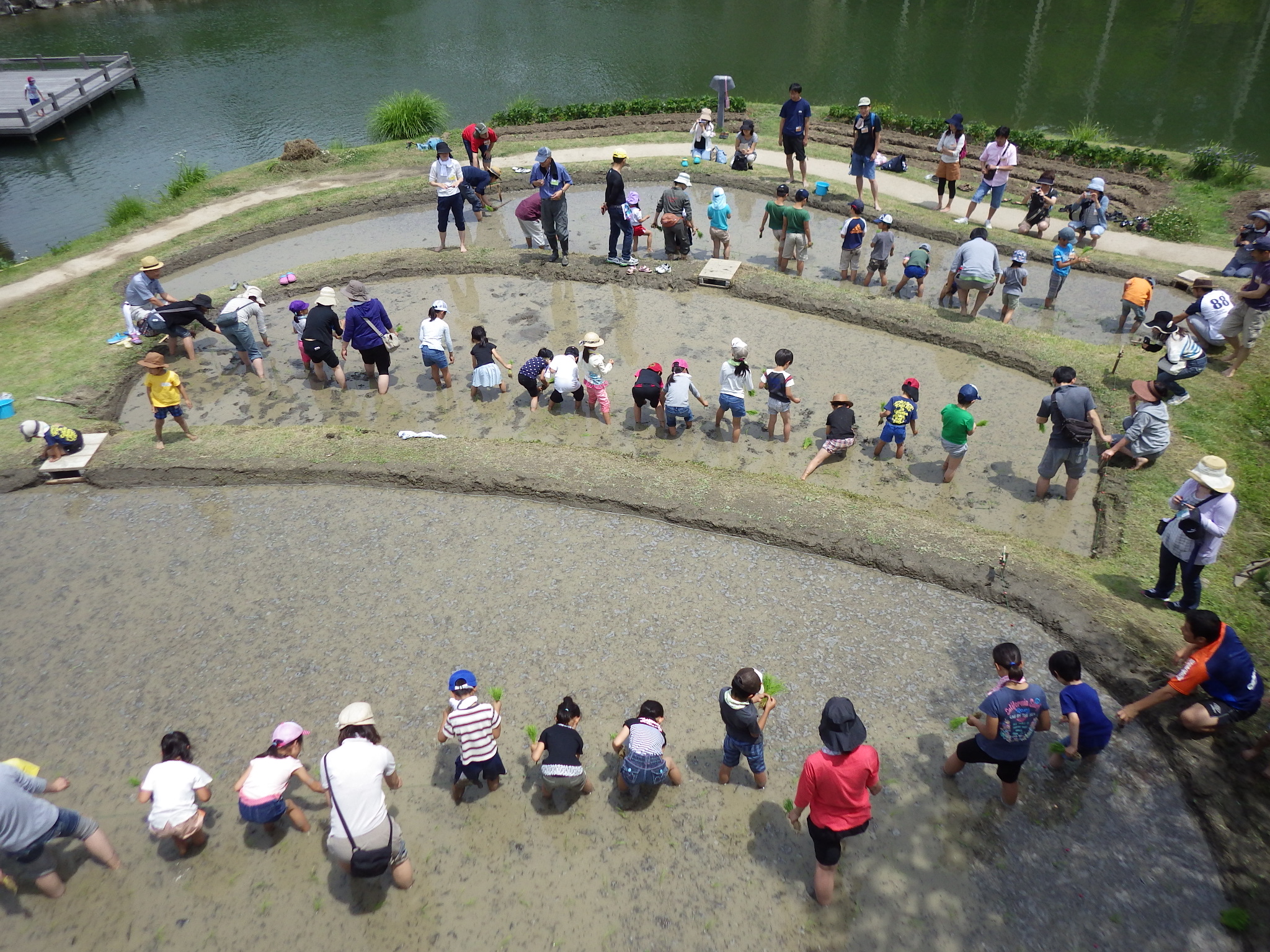 田植えに関する昔話