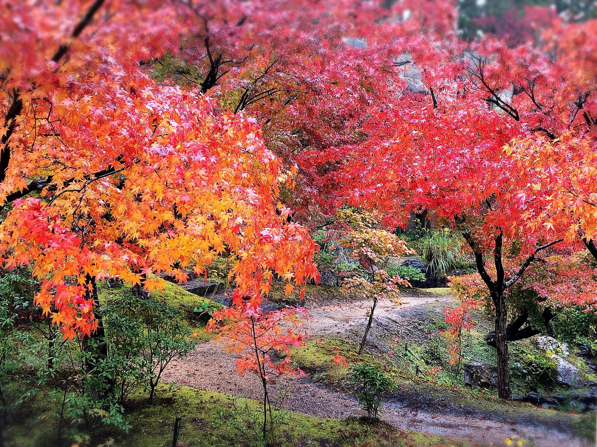 水景園の見どころ【2022.11.13立冬】