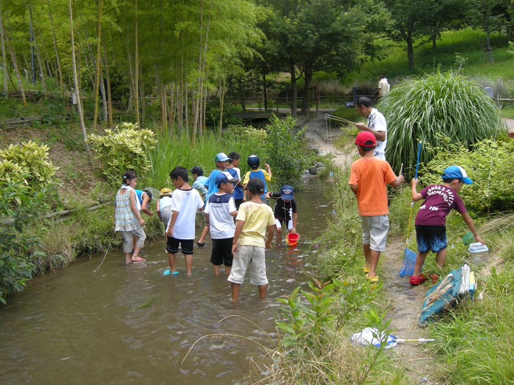 けいはんな記念公園はこどもと一緒に楽しめるのか！？徹底解説！