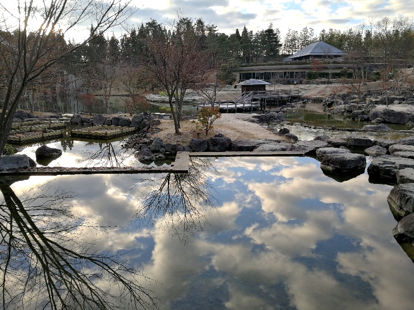 冬の公園　～その楽しみ方～