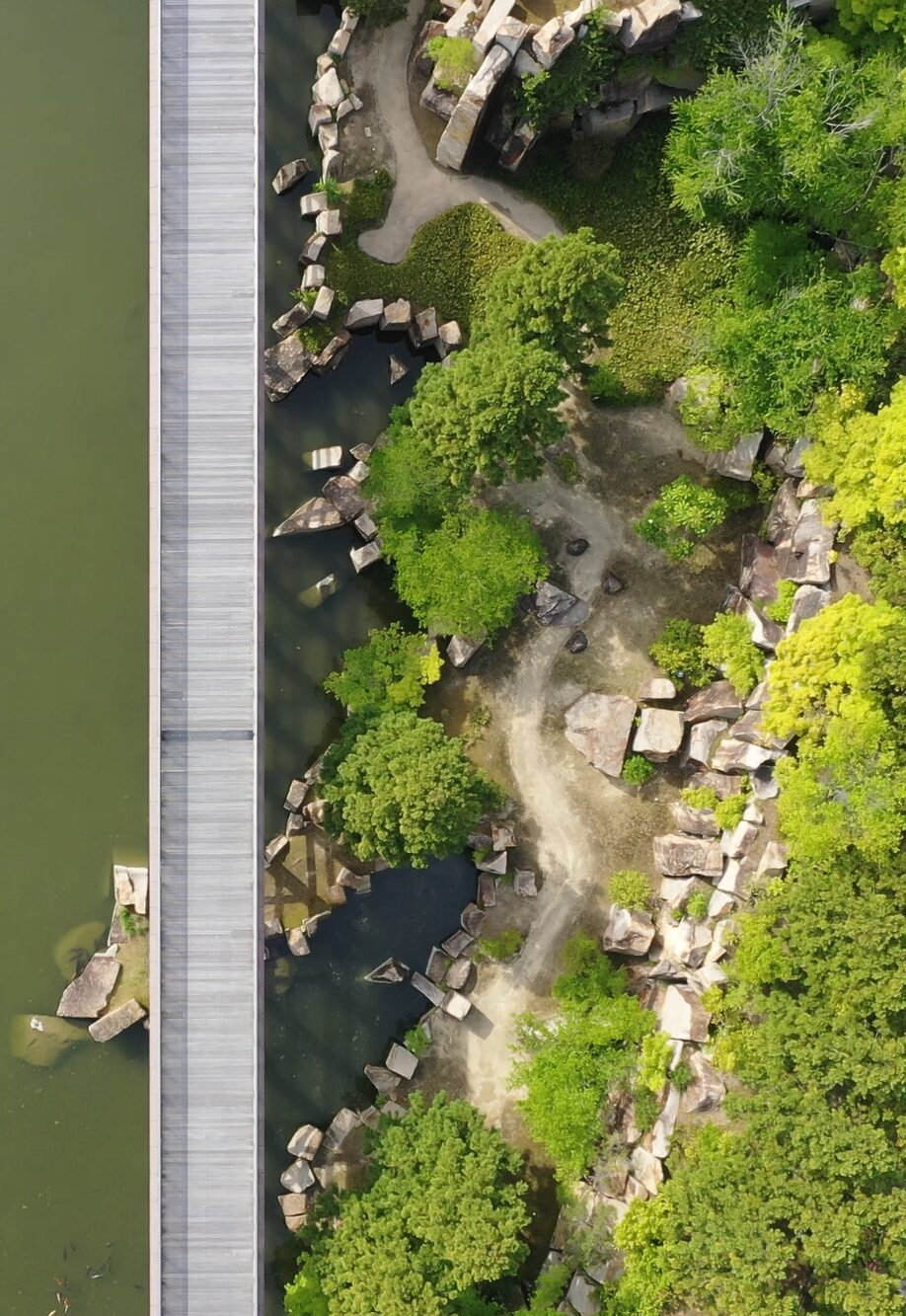 橋から見える、あたらしい風景