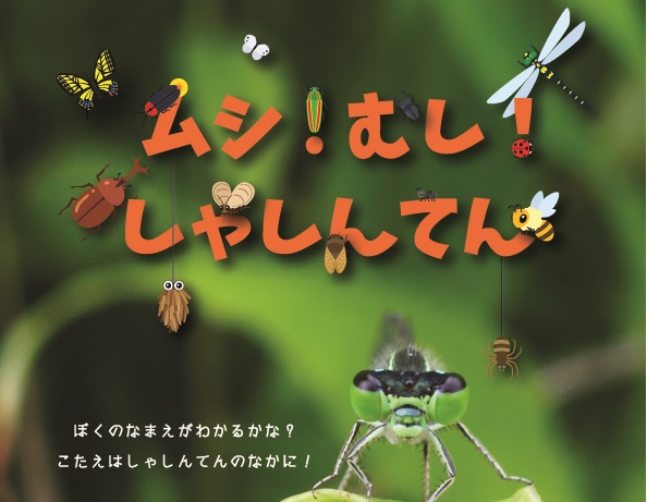 【動画】公園の虫を観察してみた！