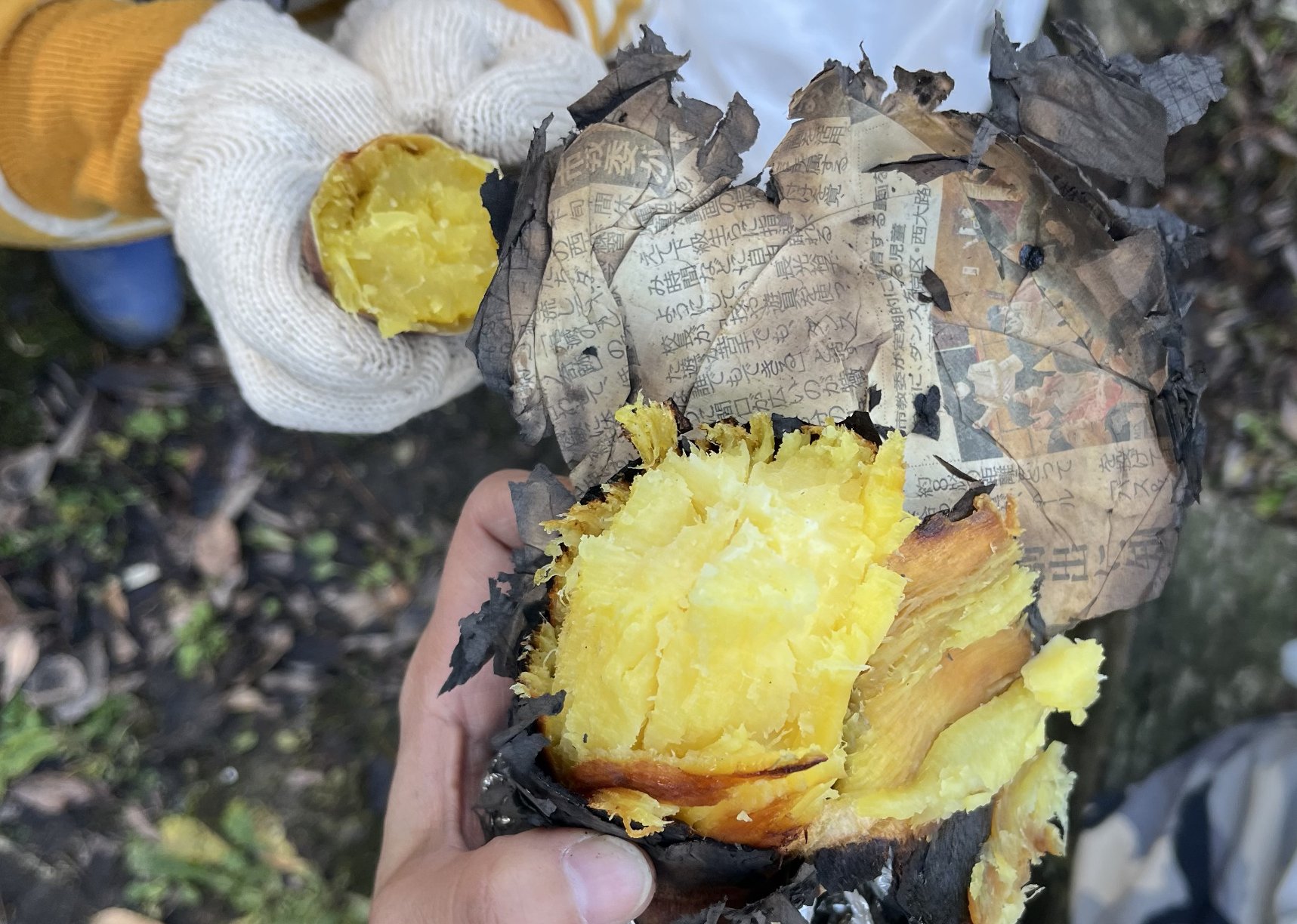 たき火で焼き芋を焼こう