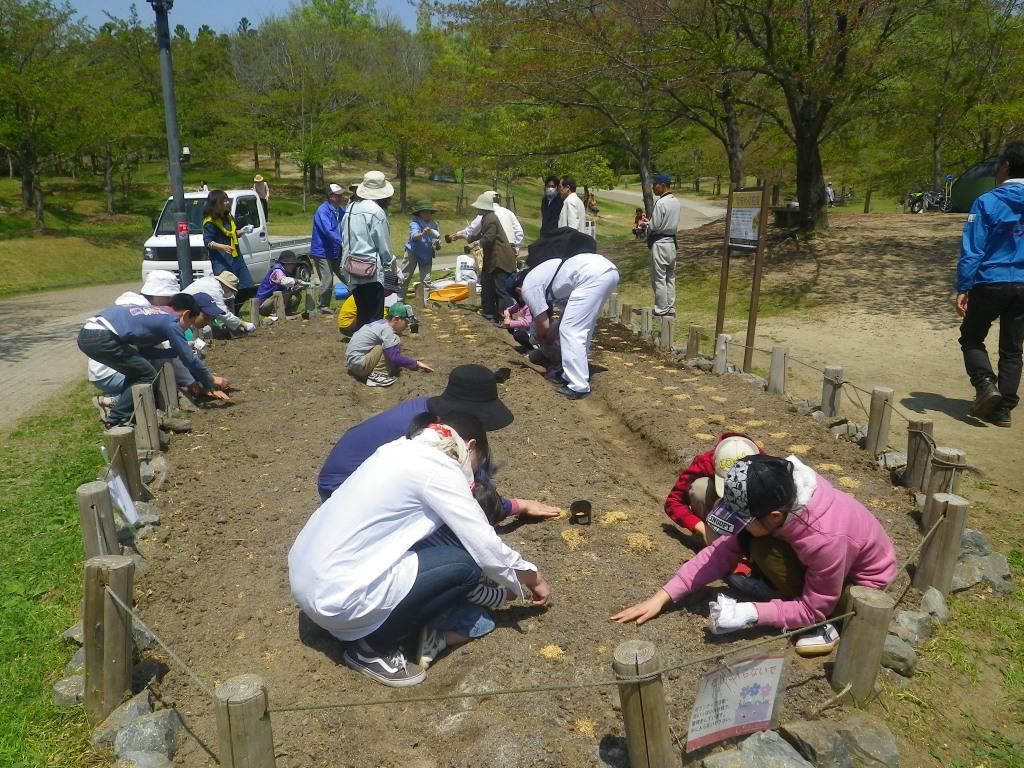 花いっぱい大作戦の会  ～花壇のメンテナンス～