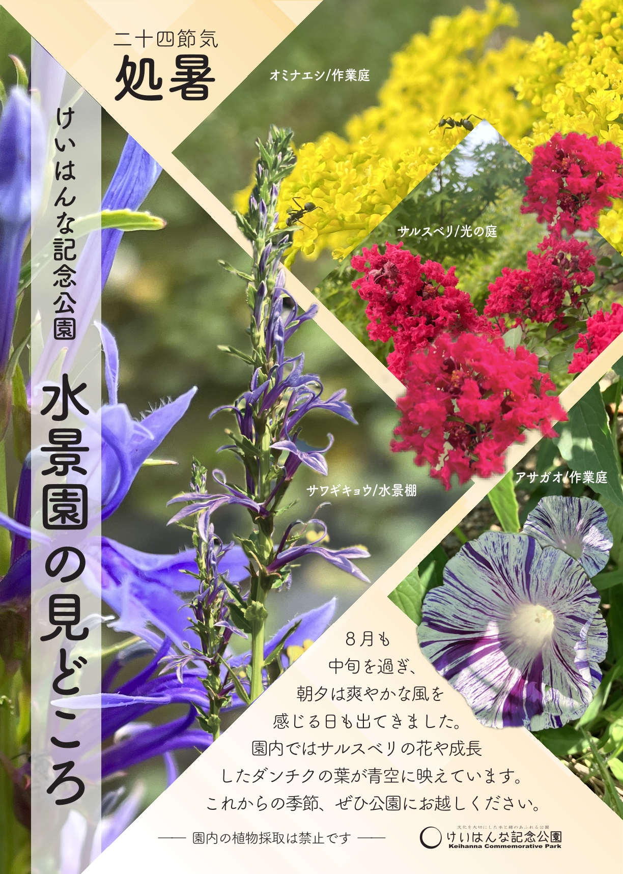 水景園の見どころ　二十四節気・処暑