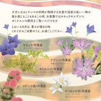 水景園の見どころ　二十四節気・立秋