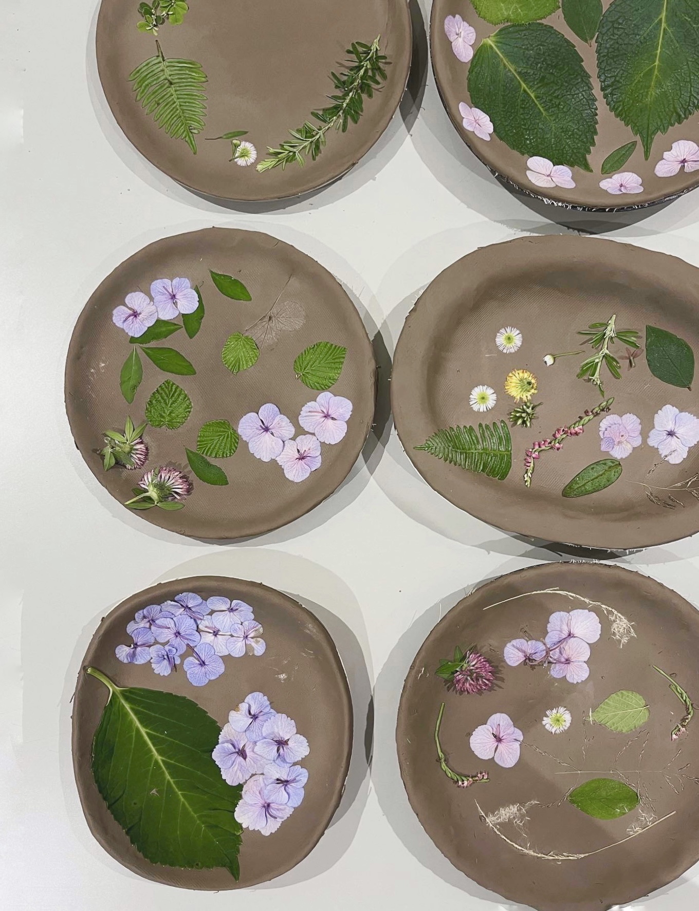 公園の植物でお皿を飾ろう　—秋版―