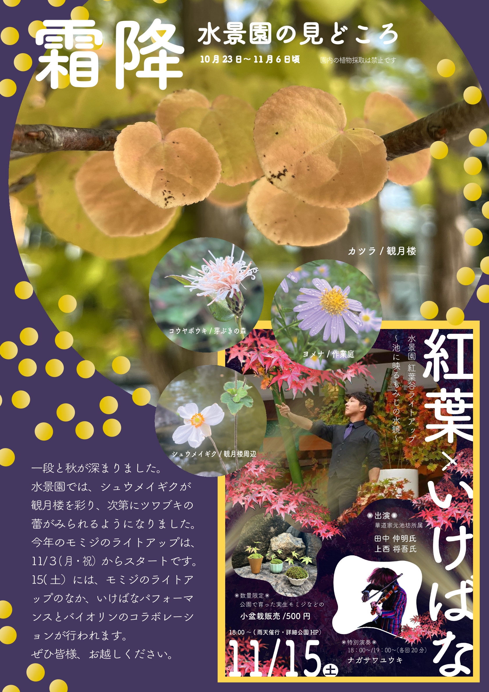 水景園の見どころ　二十四節気・霜降