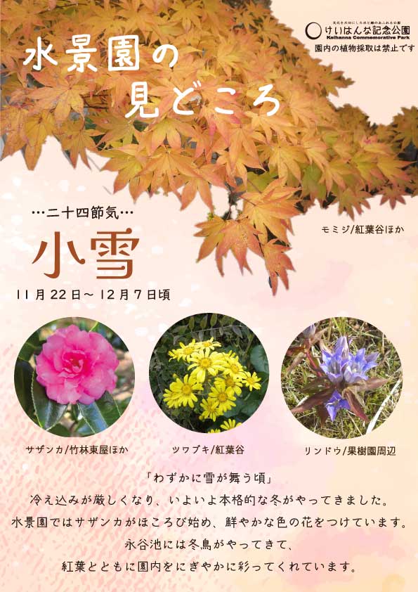 水景園の見どころ　二十四節気・小雪