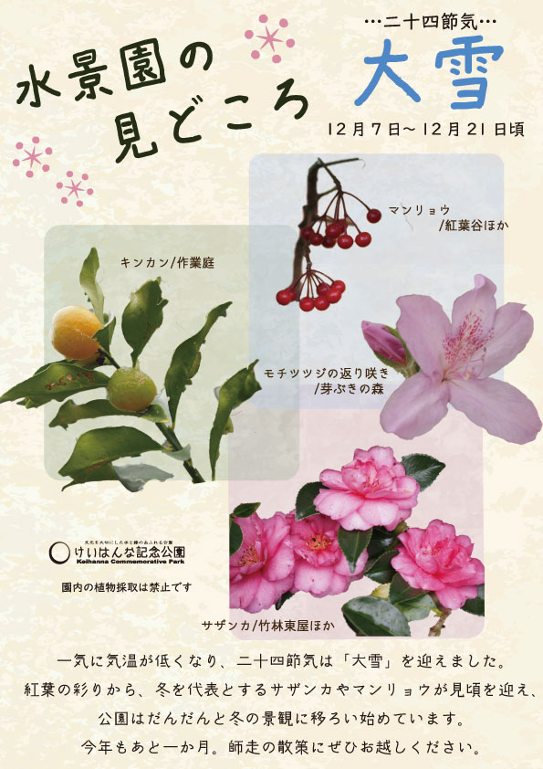 水景園の見どころ　二十四節気・大雪