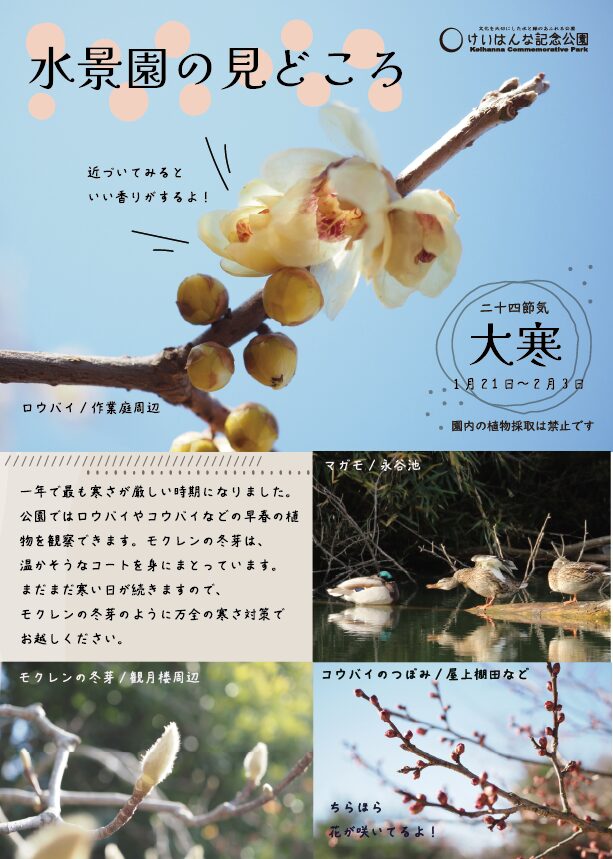 水景園の見どころ　二十四節気・大寒