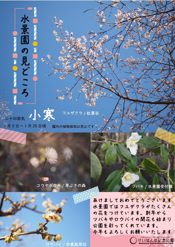 水景園の見どころ　二十四節気・小寒