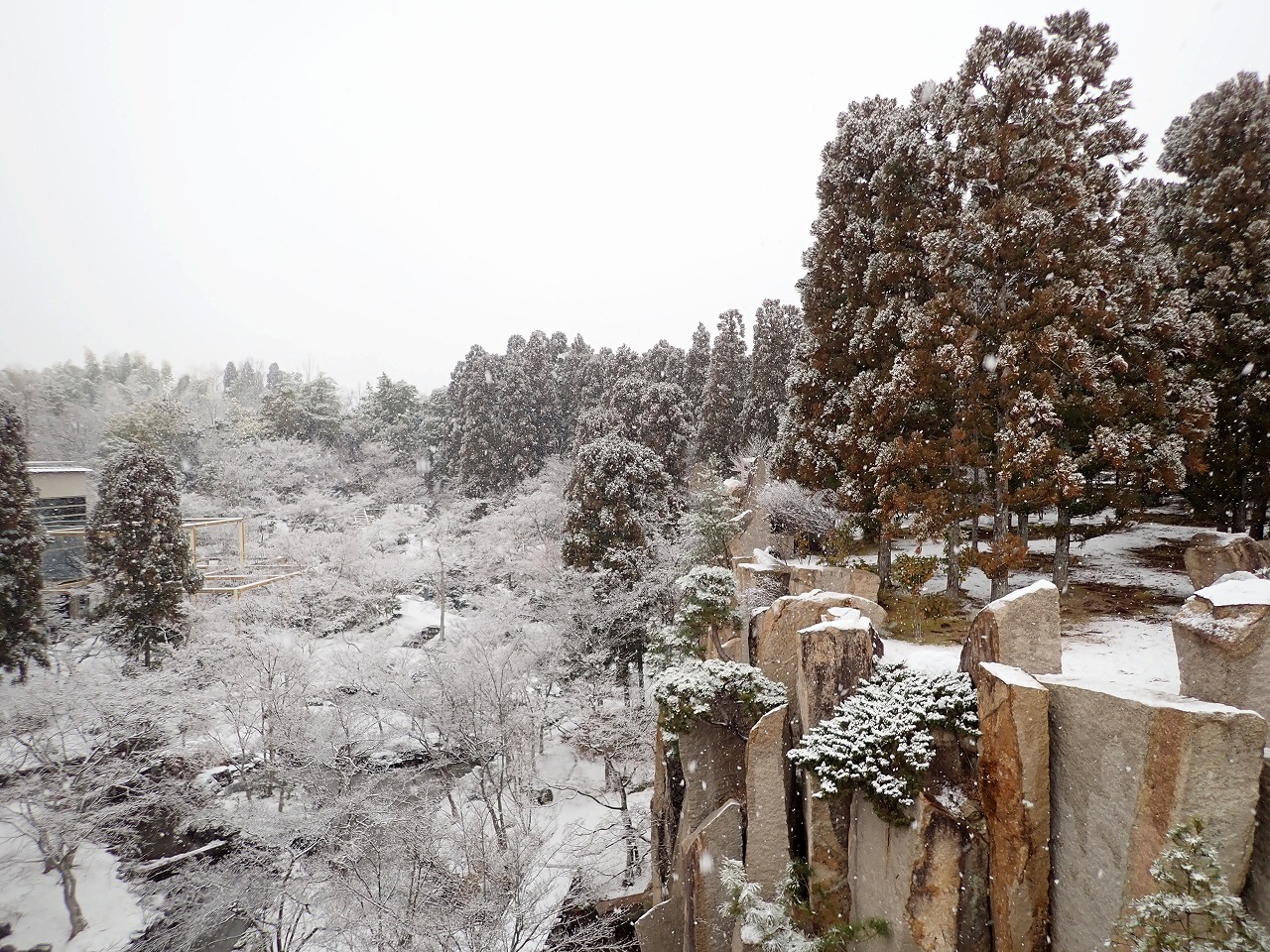 冬の魅力について