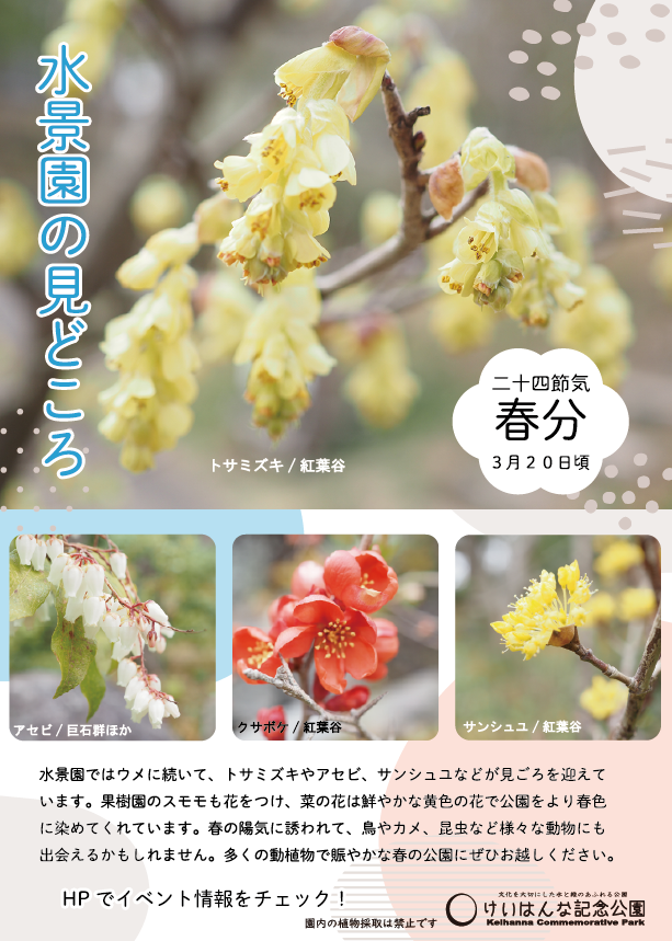 水景園の見どころ　二十四節気・春分