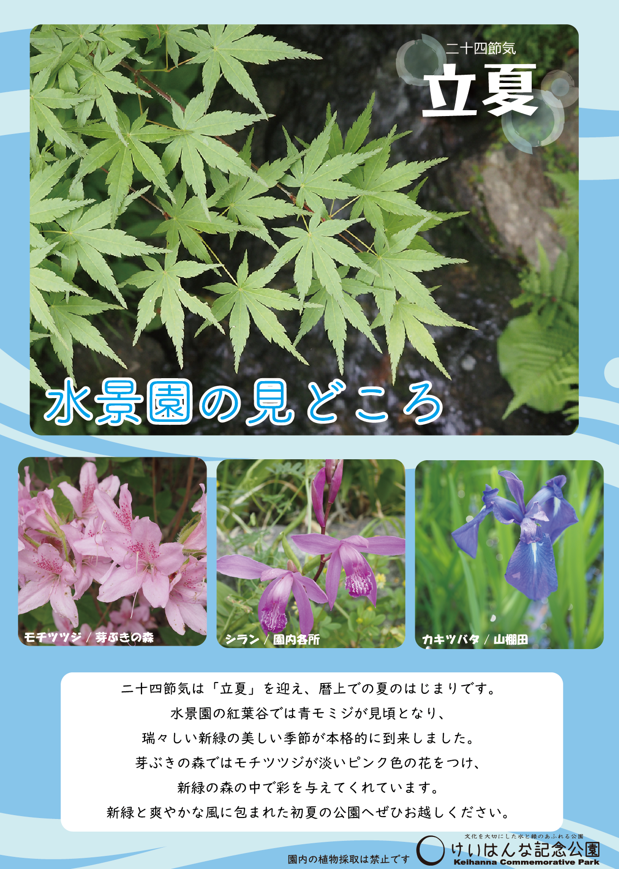 水景園の見どころ　二十四節気・立夏