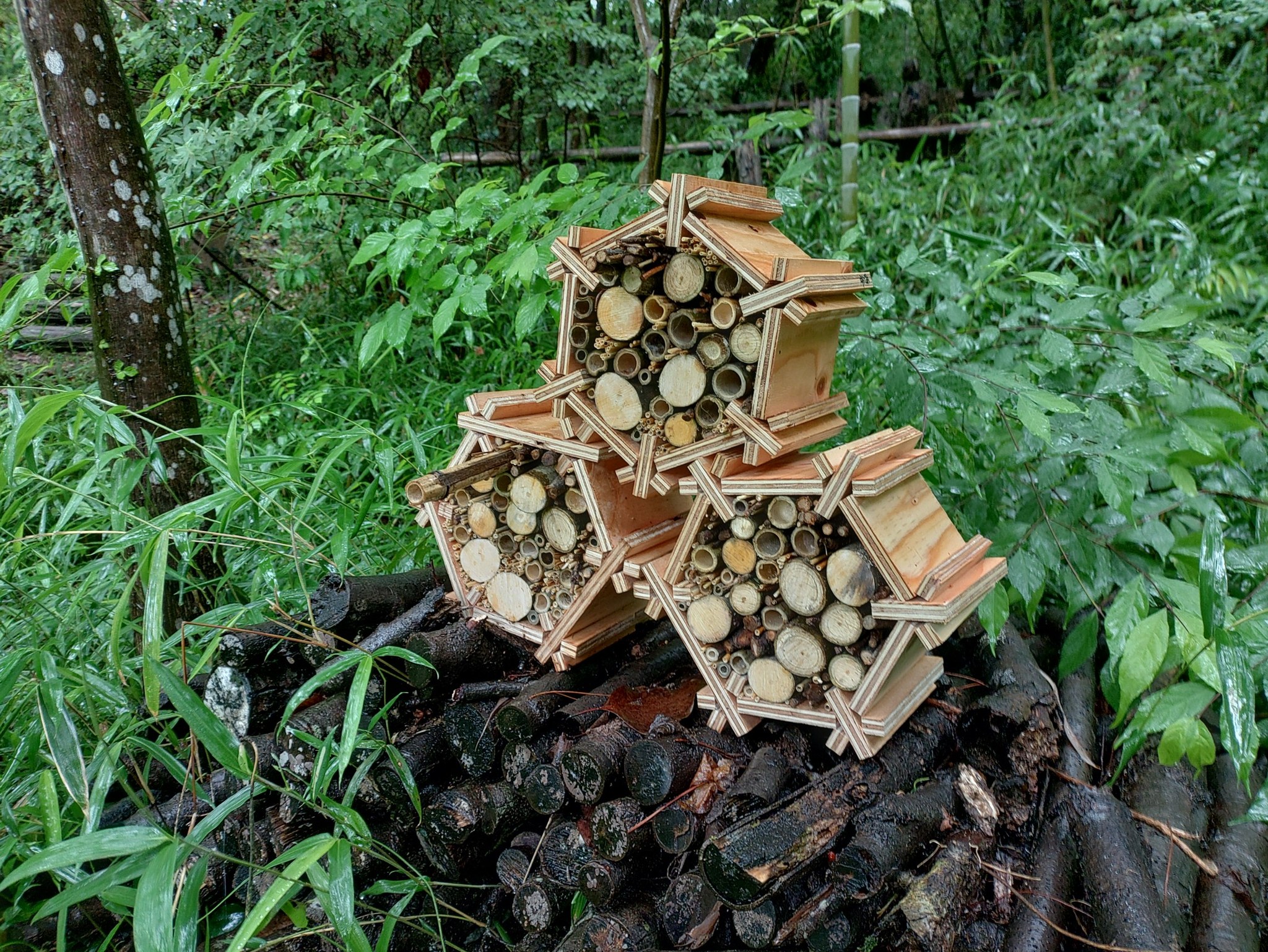 日本の里の景色をつくる　～生き物を守る取り組み～