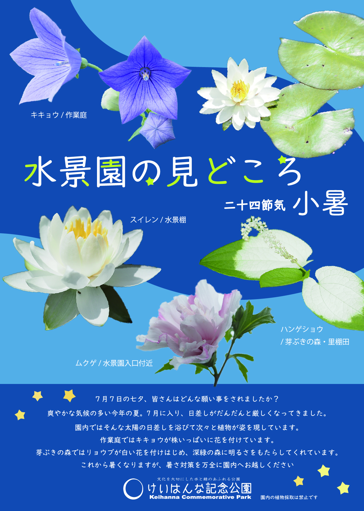 水景園の見どころ　二十四節気・小暑