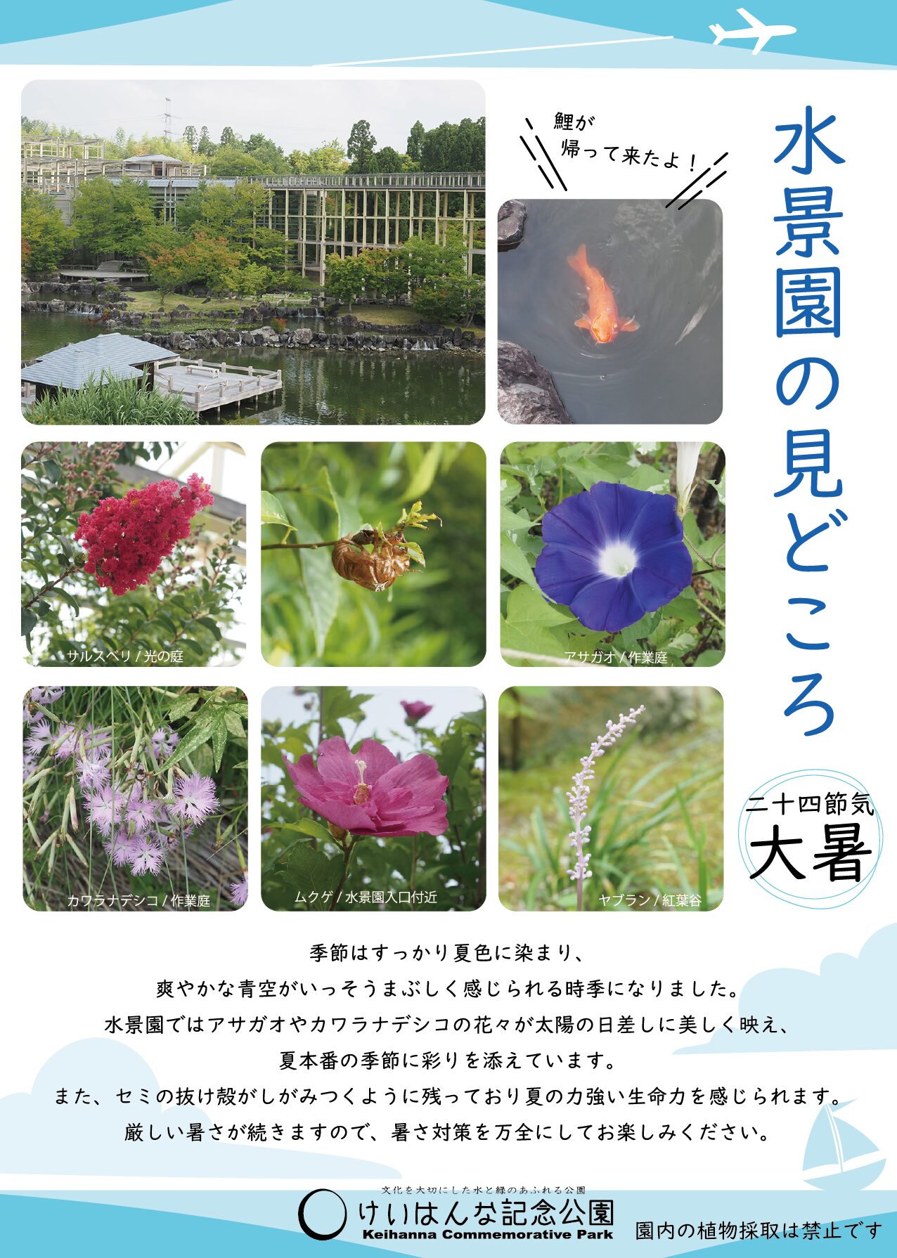 水景園の見どころ　二十四節気・大暑