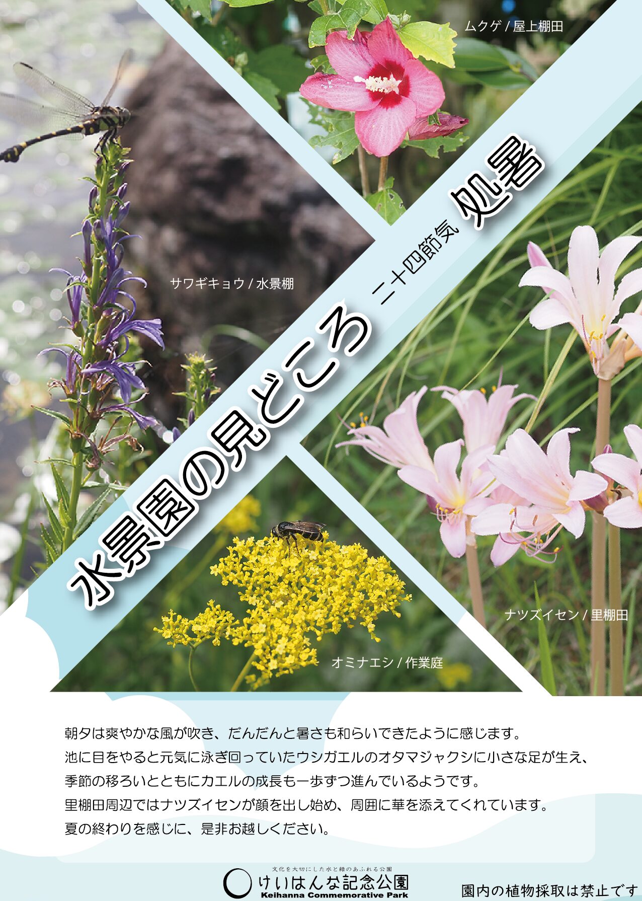 水景園の見どころ　二十四節気・処暑