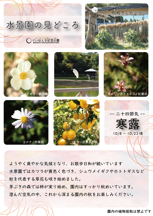 水景園の見どころ　二十四節気・寒露